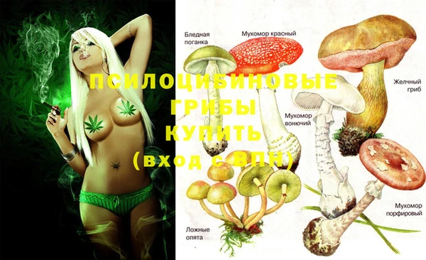 меф Михайлов