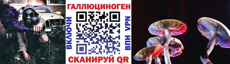 Галлюциногенные грибы GOLDEN TEACHER  купить  цена  Королёв 